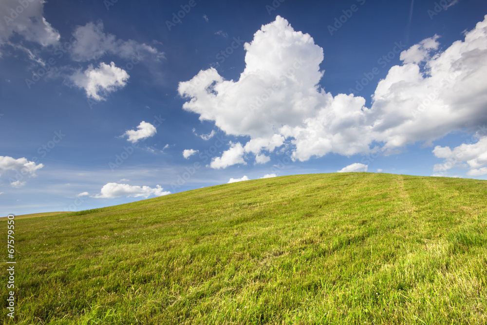 Grass Field./ Northern Poland