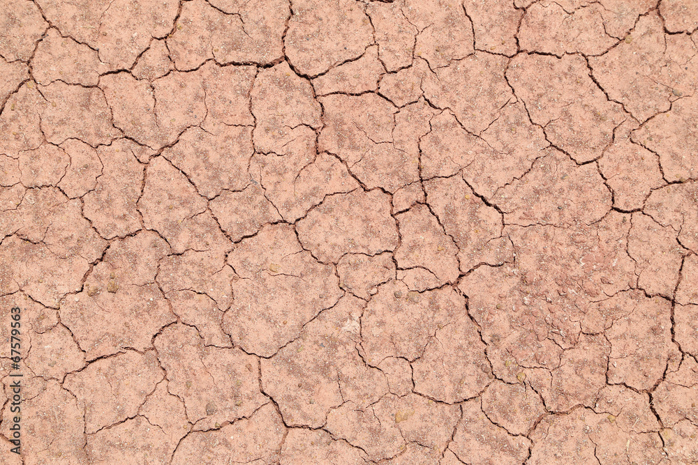 cracked soil cracked soil