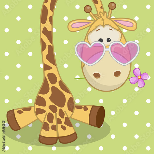 Giraffe with flower