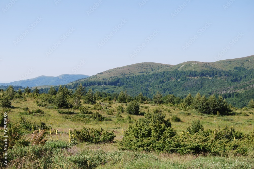 Mountain landscape from Osogovo