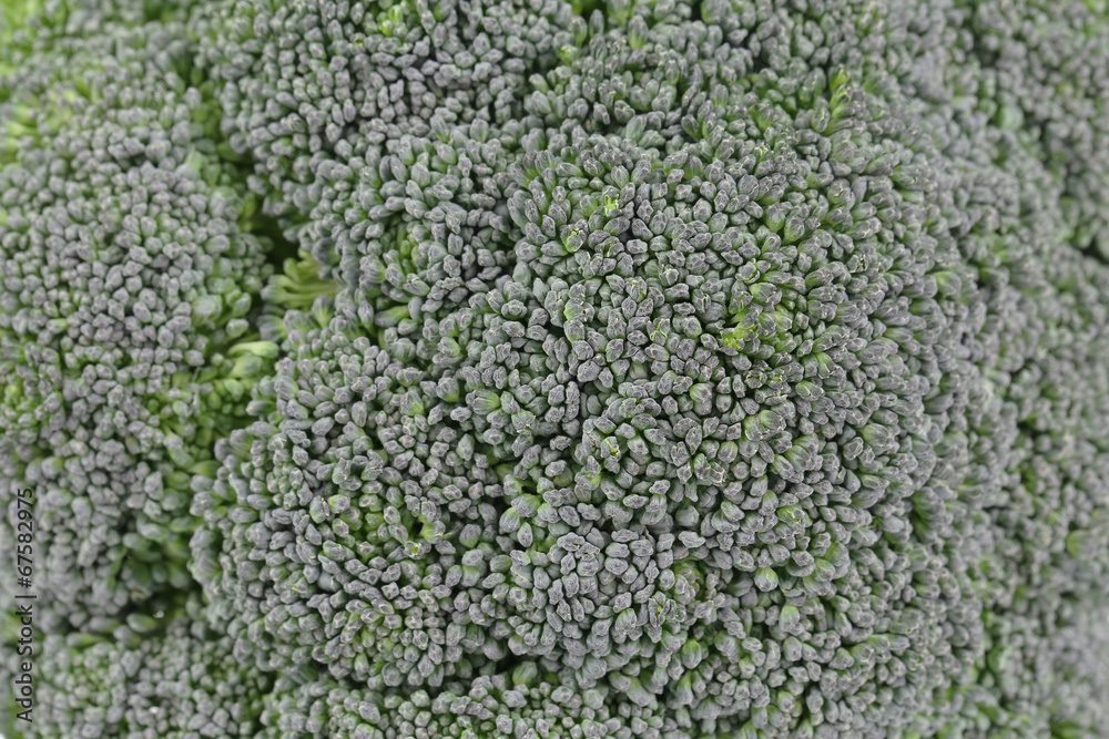 Fresh broccoli close up. Macro.