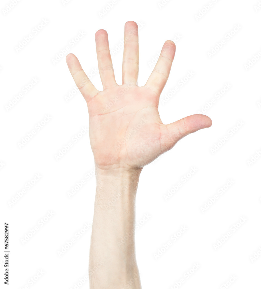 Hand shows the number five Hand shows the number five