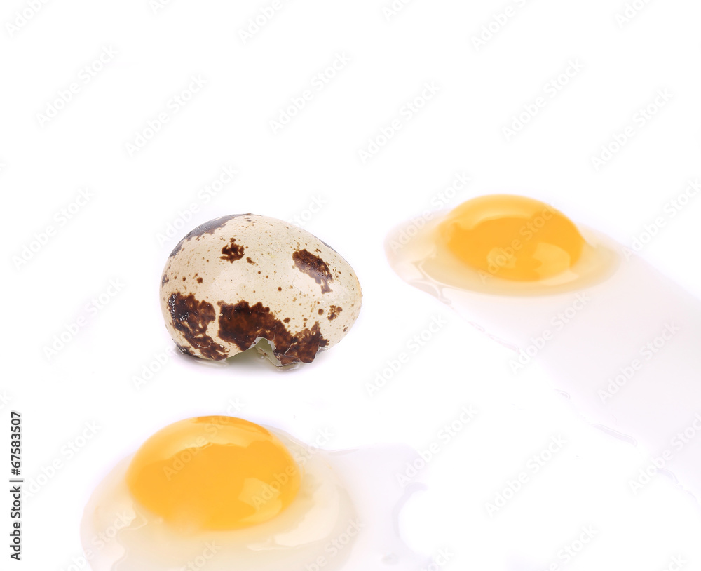 Broken quail eggs. Broken quail eggs.