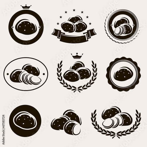 Potato set. Vector