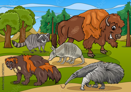 mammals animals cartoon illustration