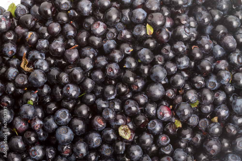 Background of blueberries Background of blueberries