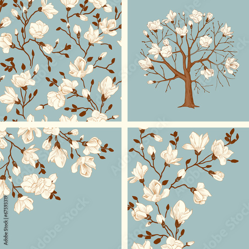 Set. Blooming magnolia.