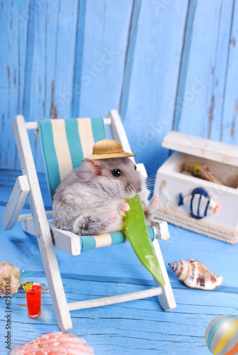 Cuadro en lienzo funny hamster relaxing on summer holidays