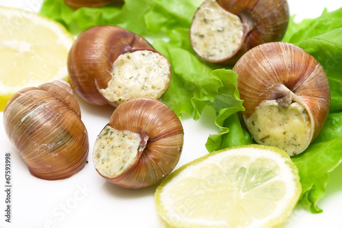 stuffed snails, lemon and lettuce closeup