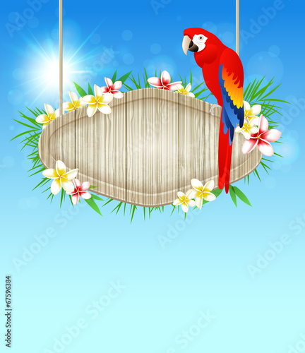 Background with red parrot