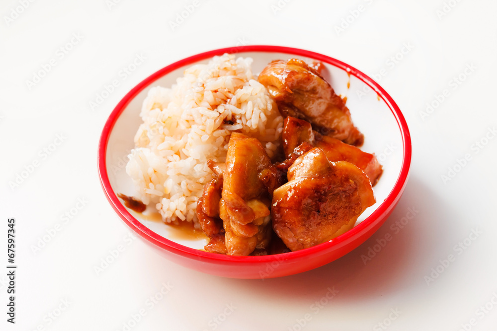 rice with chicken rice with chicken