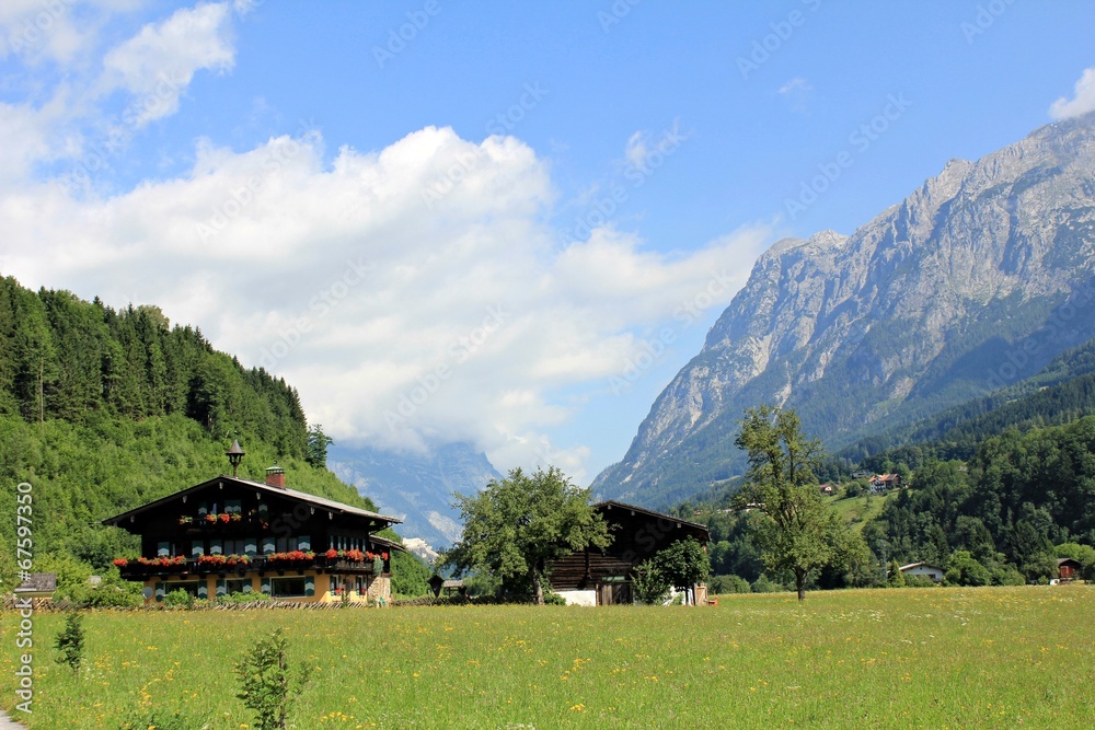 Swiss Alps summer landscape