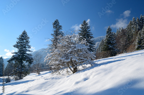 Beautiful winter landscape in mountain