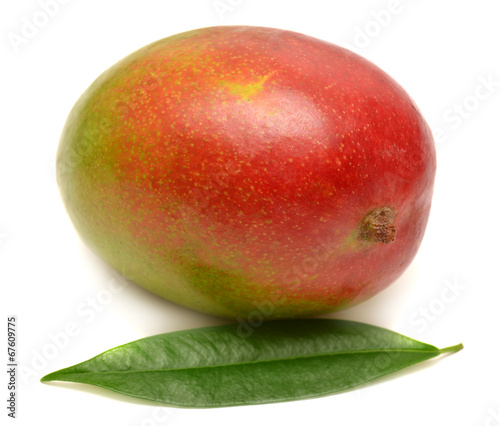 Mango with leaf