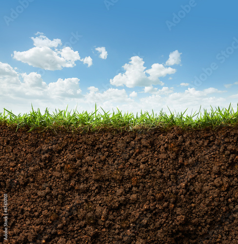 grass and soil photo
