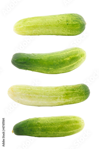 Set of cucumber isolated