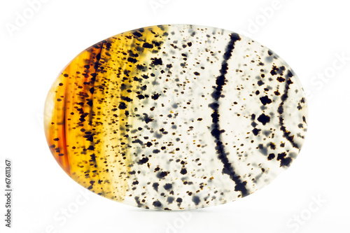 Montana Agate