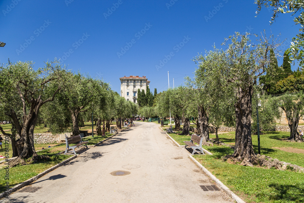 Nice, France. Alley ancient olive groves on the hill of Cimiez