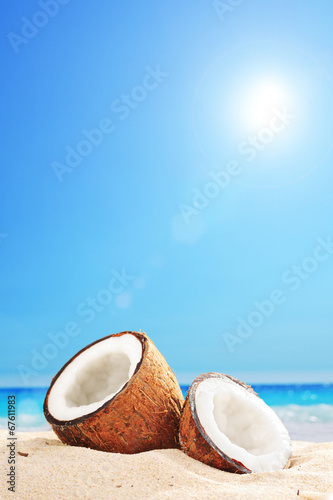 An opened coconut by the ocean on a sunny day