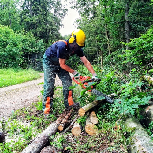 Waldarbeiter bei der Arbeit im Wald