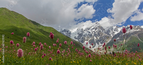 Alpine valley and mountains