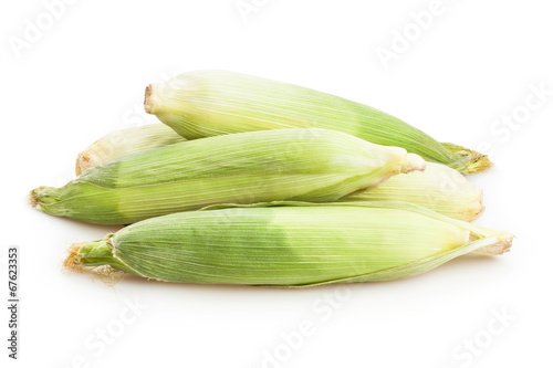 Wallpaper Mural corn Torontodigital.ca