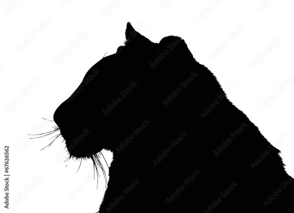 Portrait Silhouette of Large Tiger Face Portrait Silhouette of Large Tiger Face