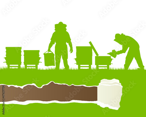 Beekeepers working in apiary vector background ecology