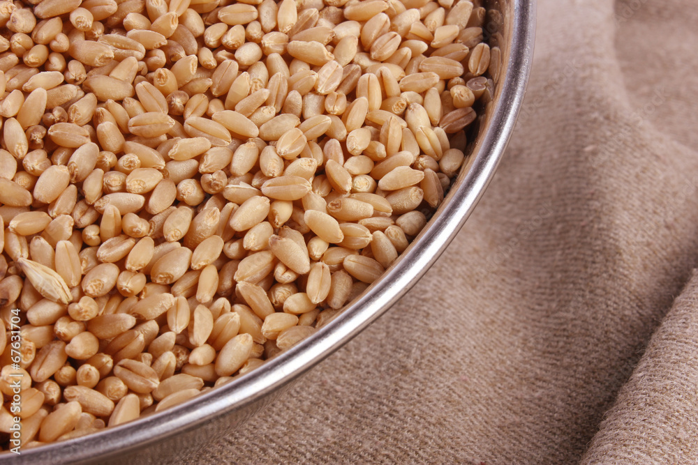 wheat in bowl & outside bowl isolated
