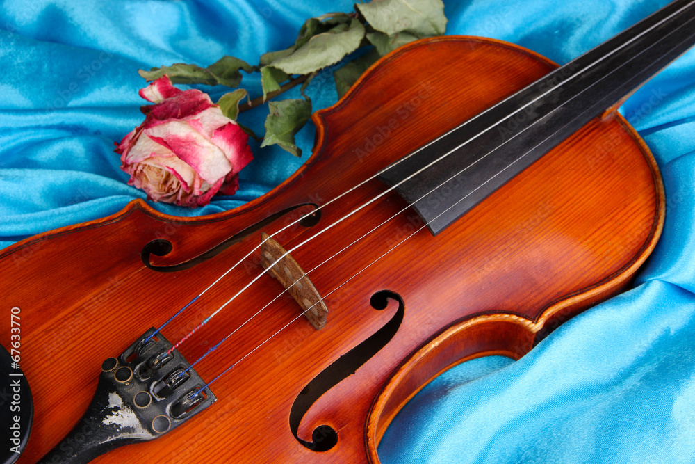 Obraz premium Classical violin on fabric background