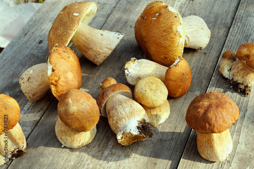 Mushrooms cepes on wooden background