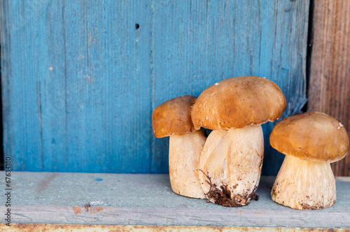 Three mushrooms cepes on the background of wooden boards