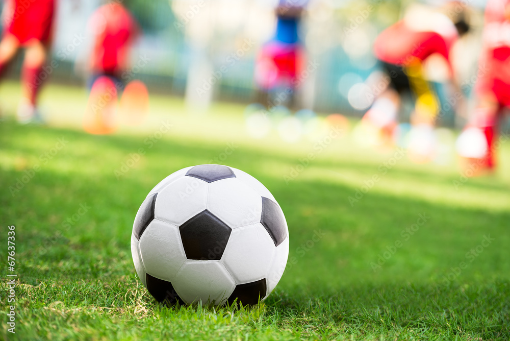 Obraz premium Soccer ball in court