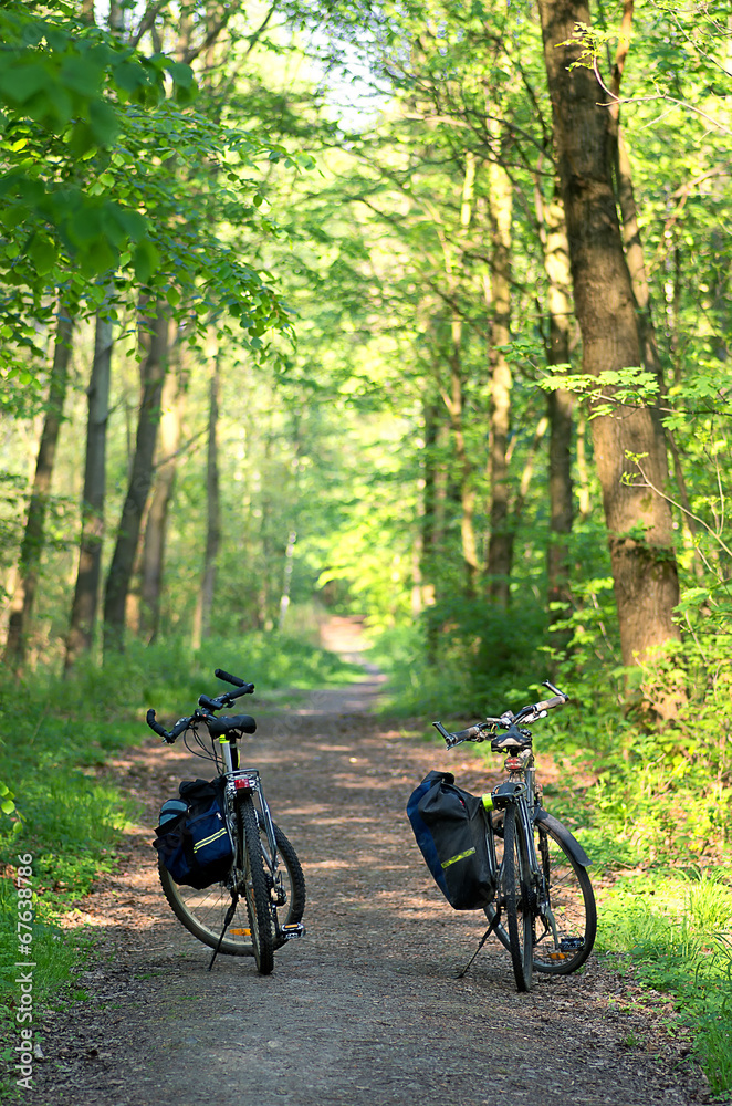 Two bicycles MTB with panniers in the forest. Two bicycles MTB with panniers in the forest.