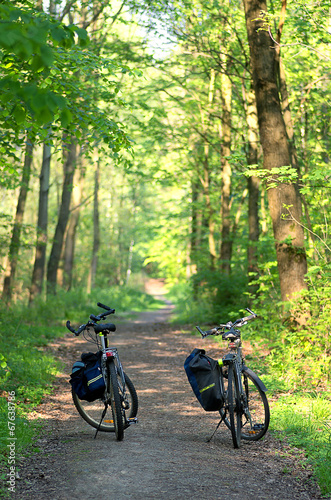 Bild auf Leinwand Two bicycles MTB with panniers in the forest.
