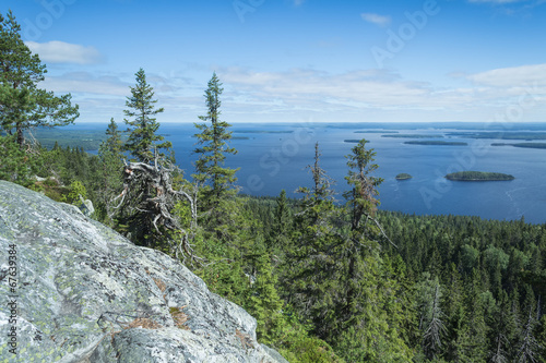 View from the Koli to lake Pielinen