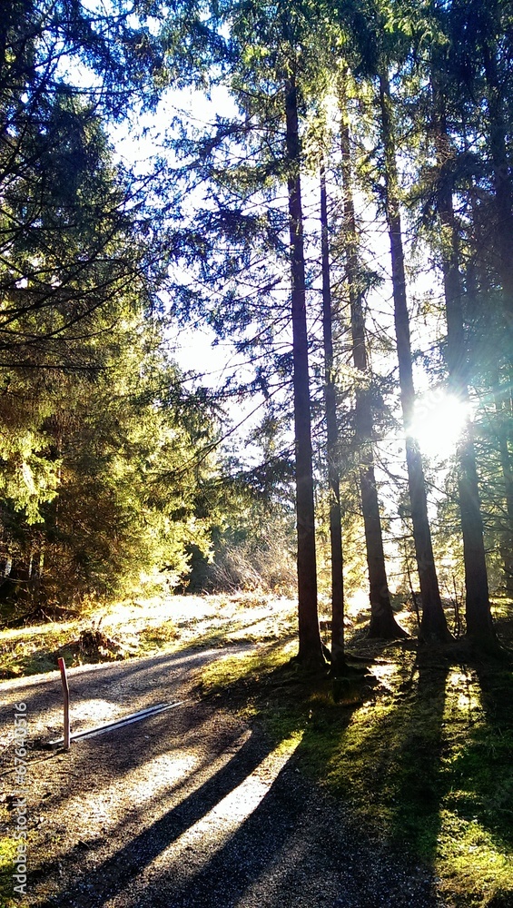 Obraz premium Spaziergang