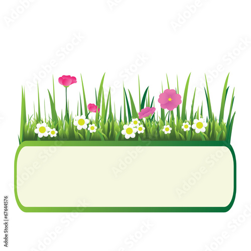Fundo para texto