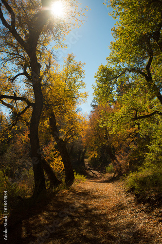 Road less Traveled 1