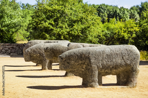 The Bulls of Guisando,celtiberian sculptures located in Avila photo