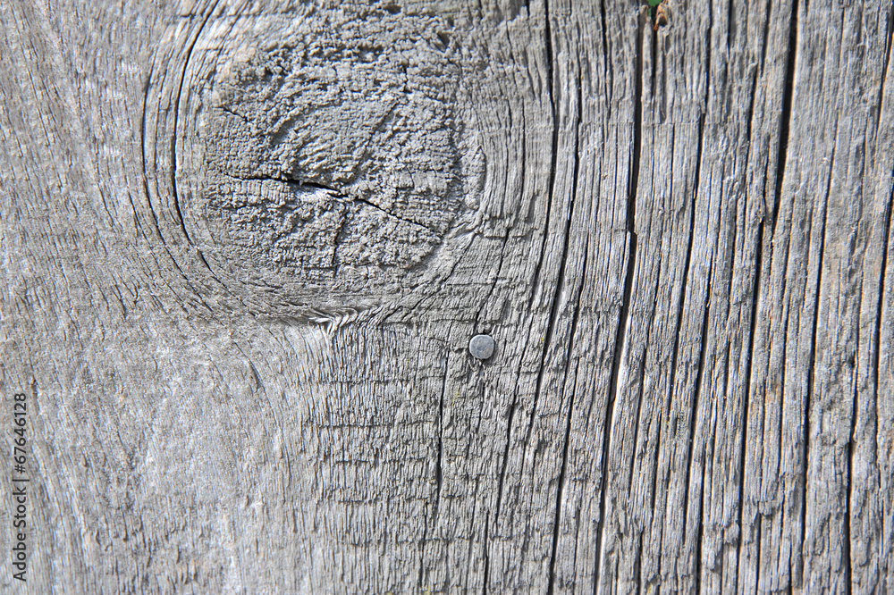 Shot of old wooden textured background, close up