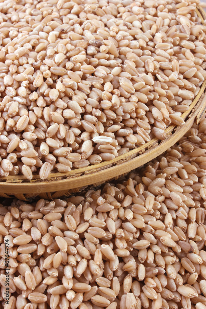 Obraz premium wheat in Bamboo Basket & Outside Bamboo Basket Isolated