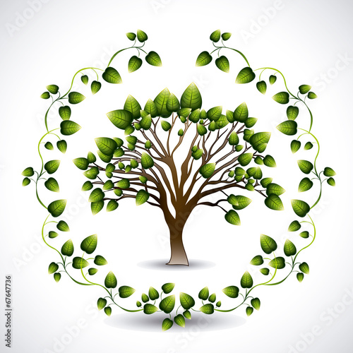 Ecology design
