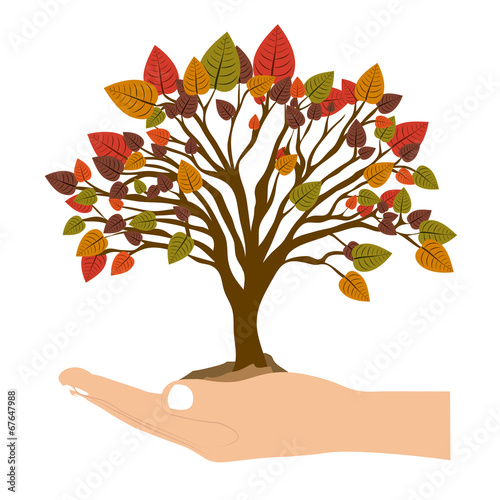 Ecology design