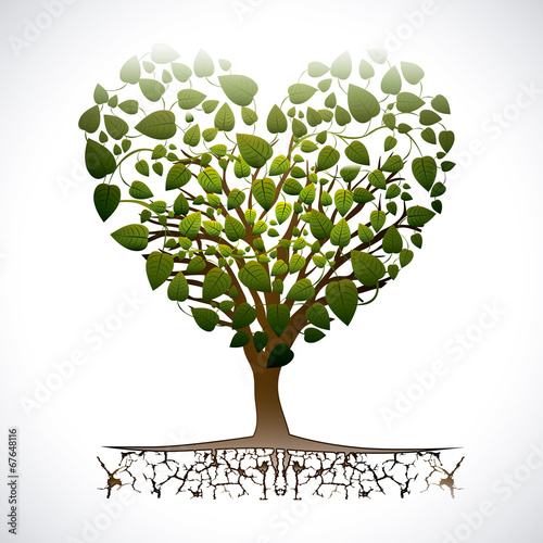 Ecology design