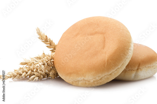 Sandwich for hamburger with ears of corn on white photo