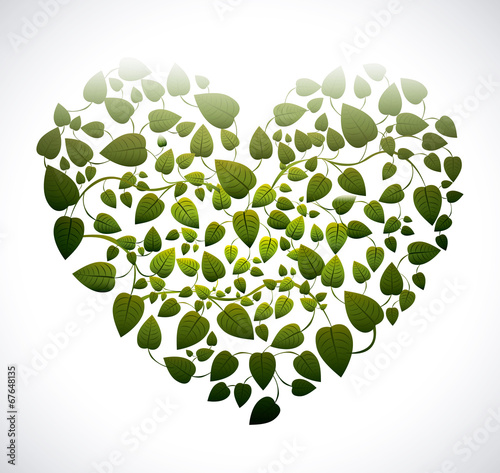 Ecology design