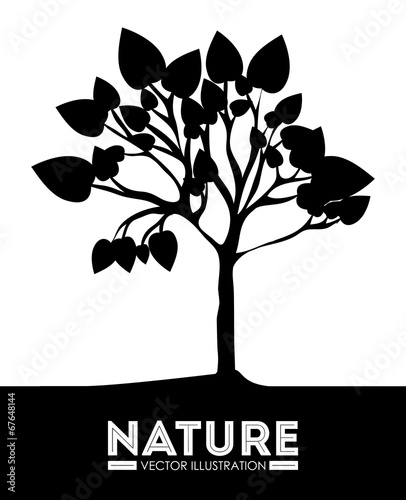 Ecology design