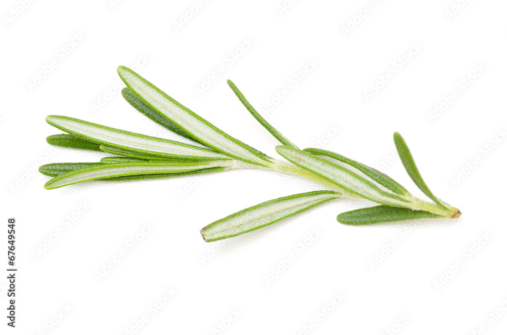 rosemary