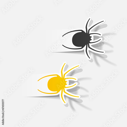 realistic design element: spider